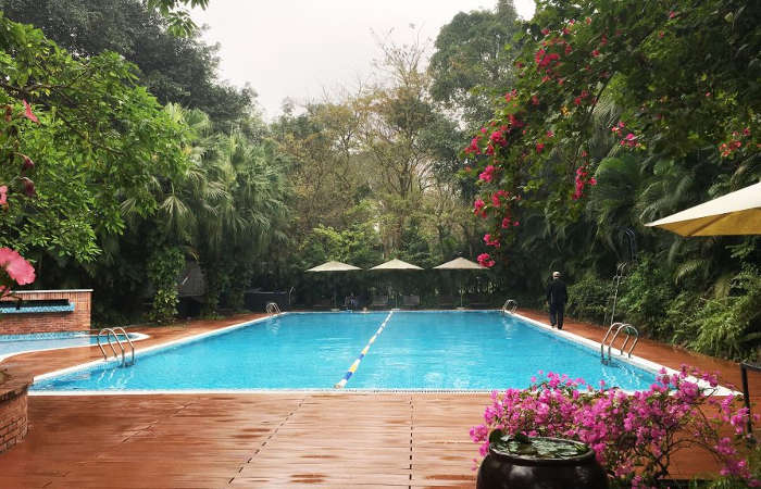 Tiện ích Vườn Tùng Ecopark - Bể bơi