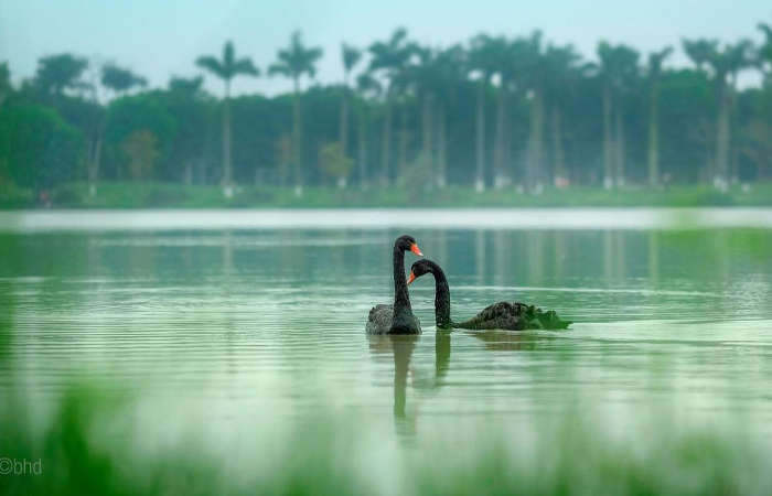 Tiện ích Thủy Nguyên Ecopark - công viên
