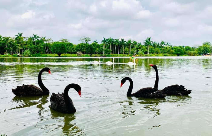 Tiện ích Westbay Ecopark - công viên