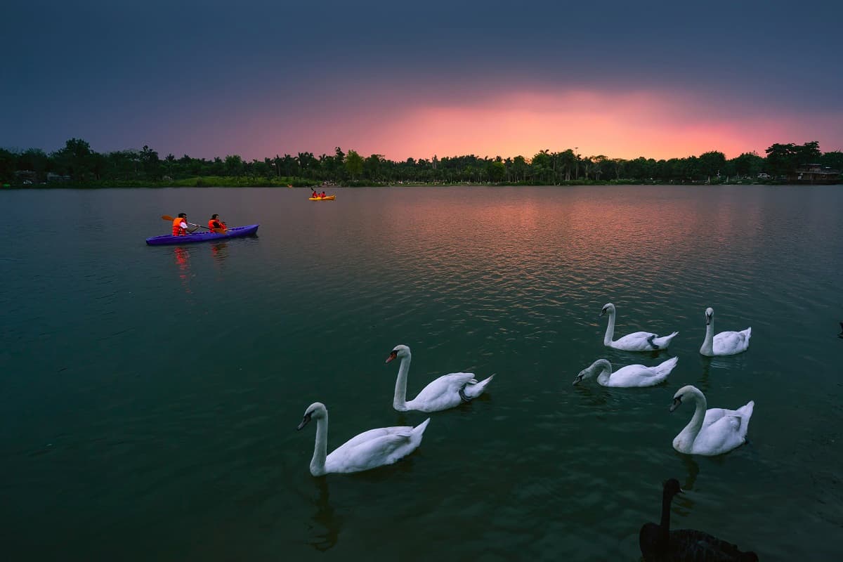 Du lịch Ecopark - Chèo thuyền Kayak Hồ Thiên Nga