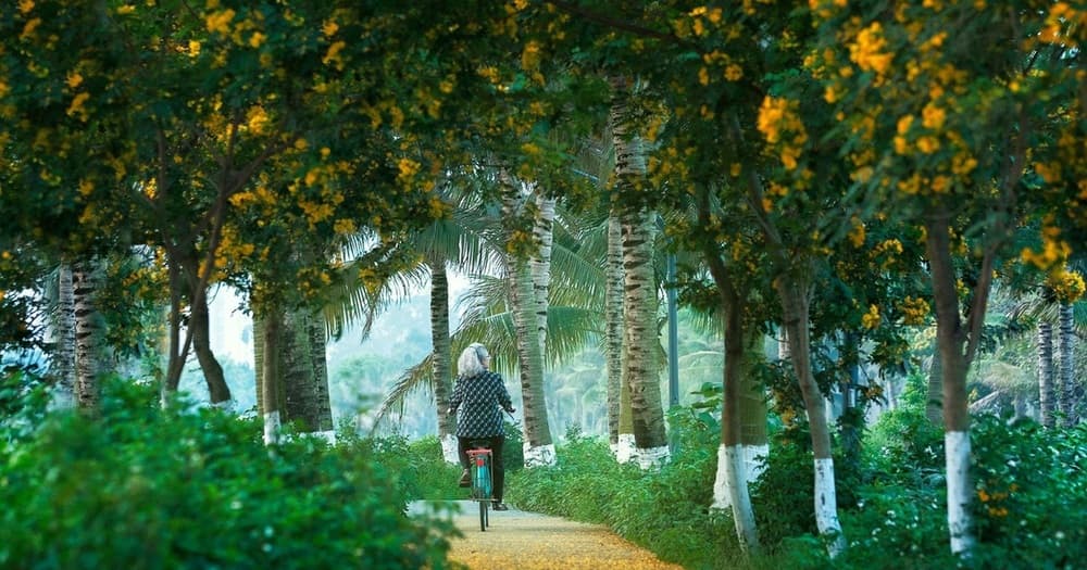 Đạp xe ở Ecopark