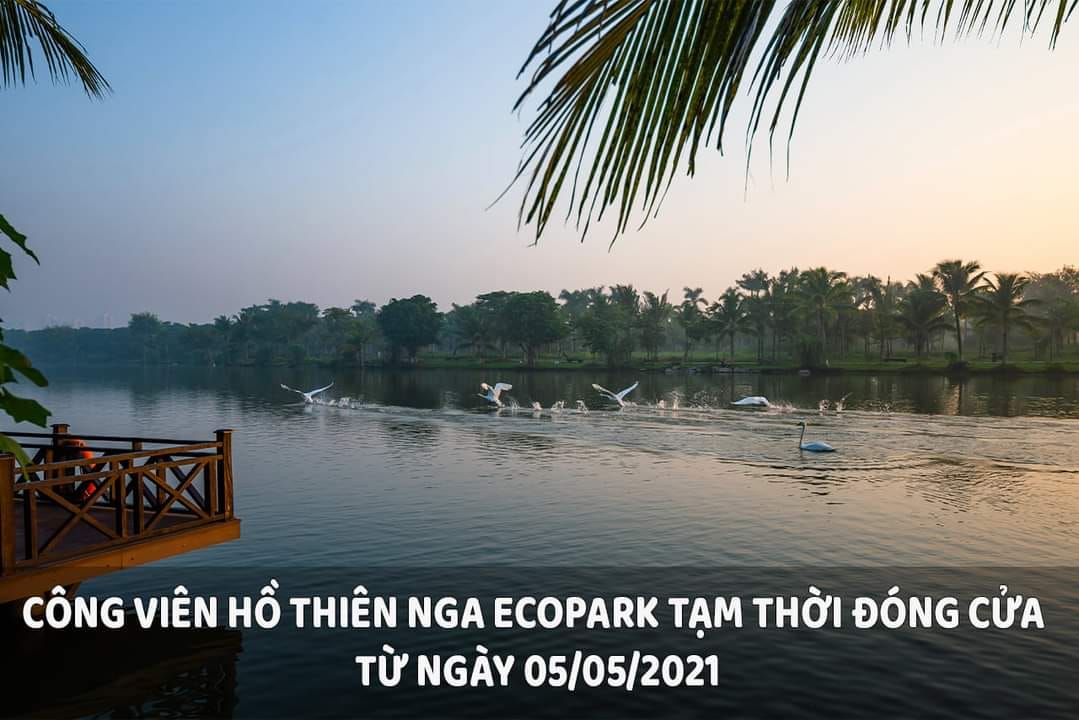 Công viên Hồ Thiên Nga Ecopark đóng cửa