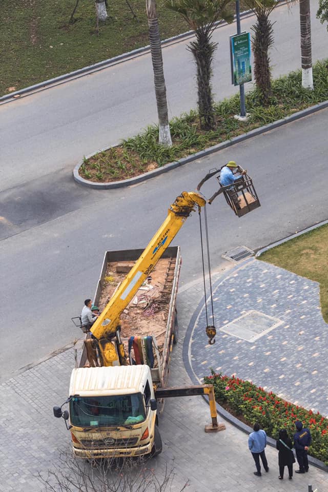 Giải cứu chim Ecopark 2021