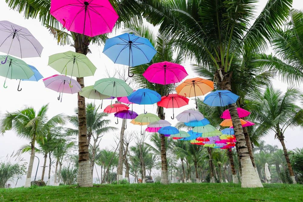 Lễ hội Tết 2020 Canh Tý ở Ecopark: Bản giao hưởng mùa xuân