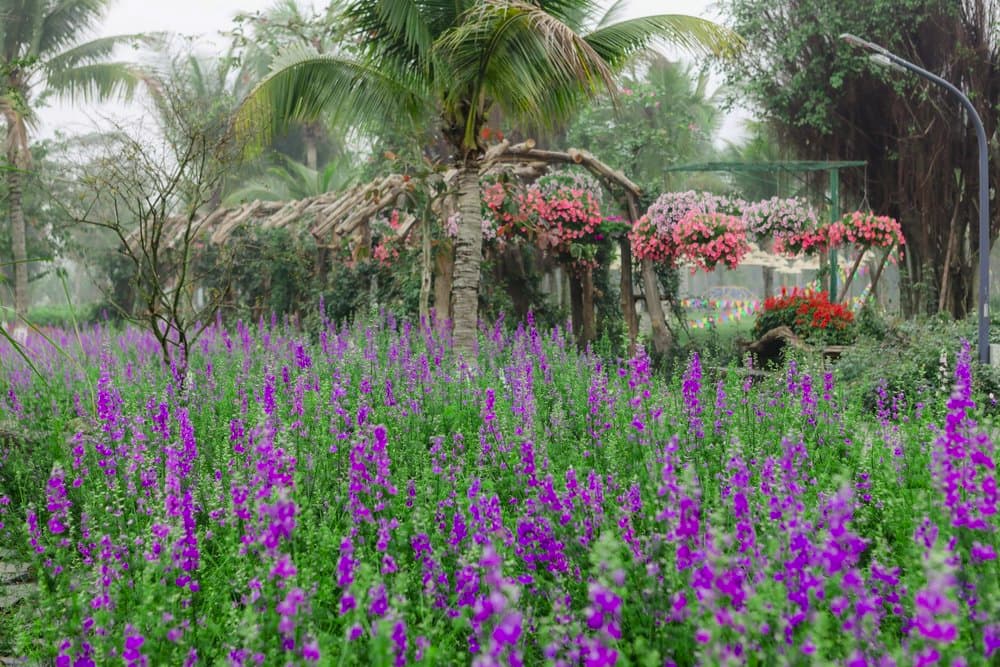 Lễ hội Tết 2020 Canh Tý ở Ecopark: Bản giao hưởng mùa xuân