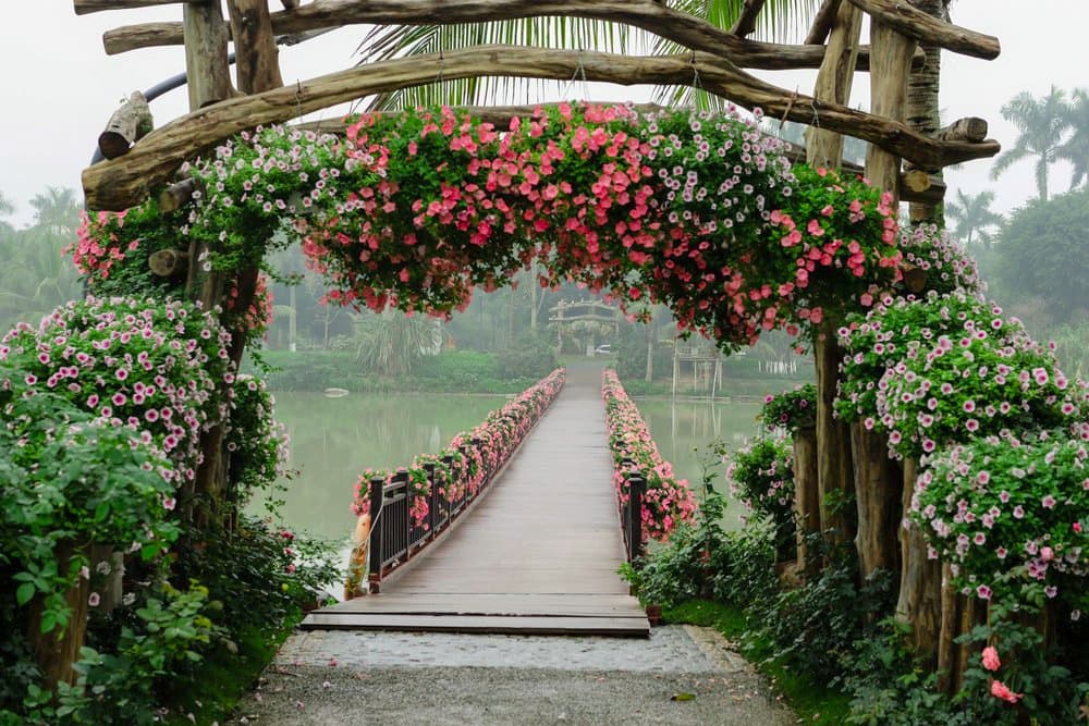 Lễ hội Tết 2020 Canh Tý ở Ecopark: Bản giao hưởng mùa xuân
