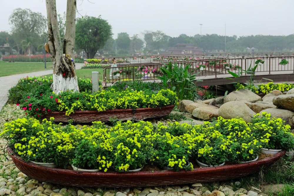 Lễ hội Tết 2020 Canh Tý ở Ecopark: Bản giao hưởng mùa xuân